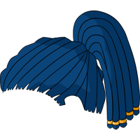 asset icon
