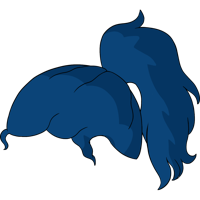 asset icon
