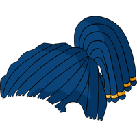 asset icon