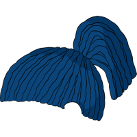 asset icon