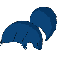 asset icon