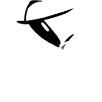 asset icon