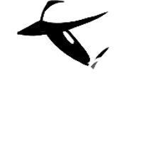 asset icon