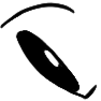 asset icon