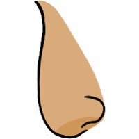asset icon