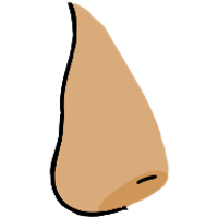 asset icon
