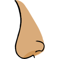 asset icon
