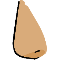 asset icon