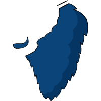 asset icon