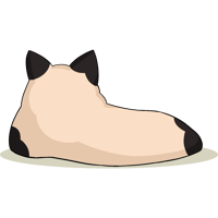 asset icon